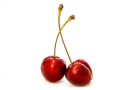 Sødme og Saft – Kirsebærrenes Unikke Charme